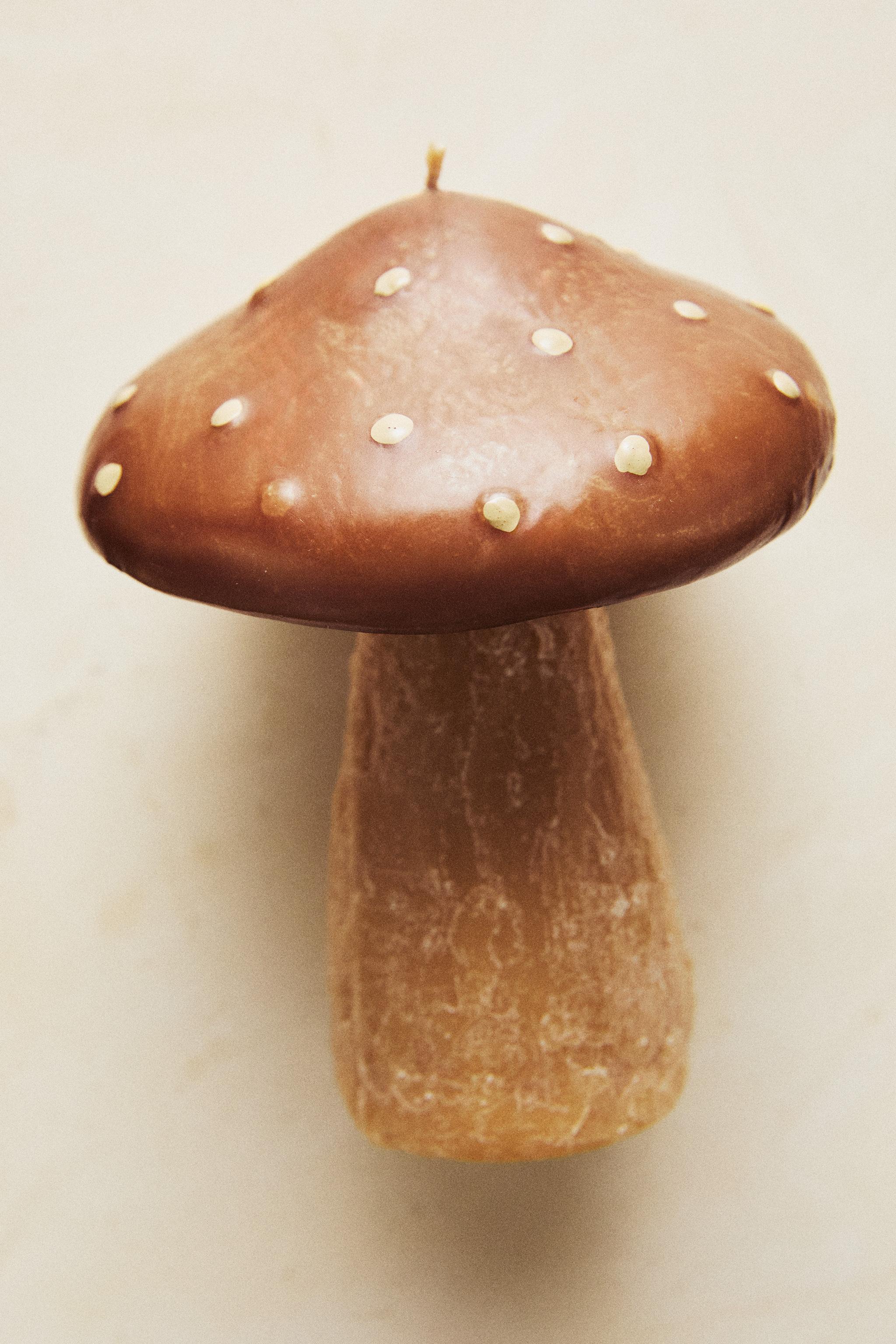 SMALL PUMPKIN SPICE MUSHROOM SCENTED CANDLE